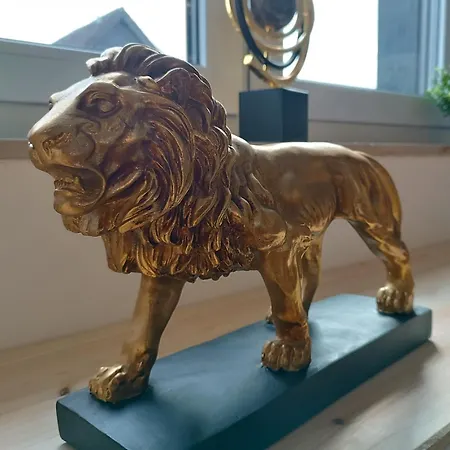 Casatua - Golden Lion - Parkplatz - Sport - Messe *